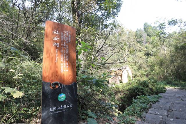 天供山森林公园获批成为国家3a级旅游景区